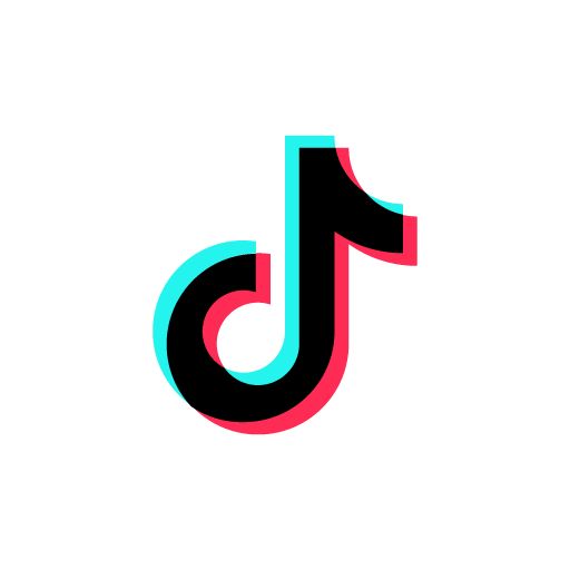 TikTok Ads  - Practical Expertise
